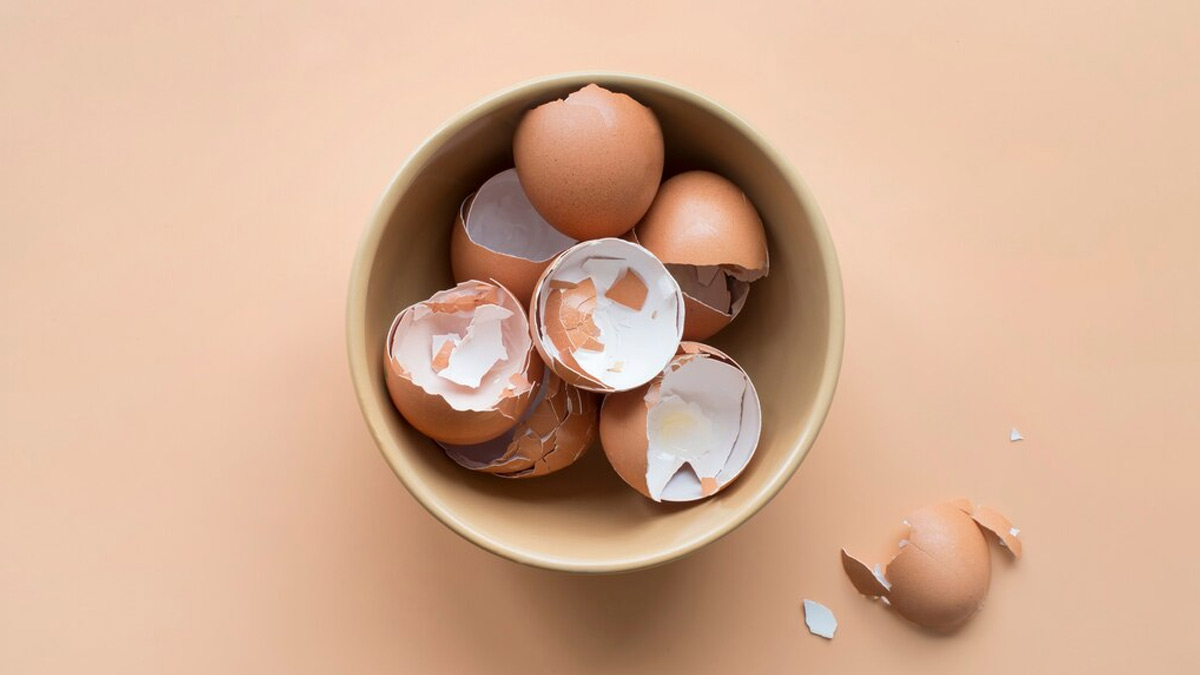 what happens if i boil eggshell in water know gardening hackेे